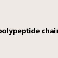 polypeptide chain是什么意思
