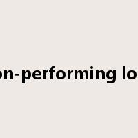 non-performing loan是什么意思