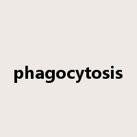 phagocytosis是什么意思