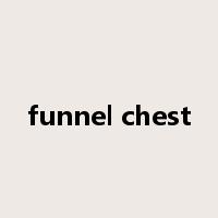 funnel chest是什么意思