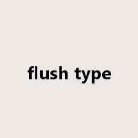 flush type是什么意思
