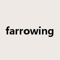 farrowing是什么意思