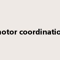 motor coordination是什么意思