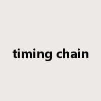 timing chain是什么意思