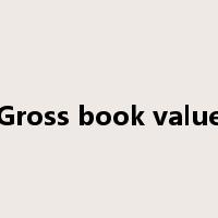 Gross book value是什么意思