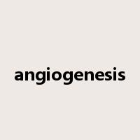 angiogenesis是什么意思