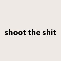 shoot the shit是什么意思
