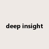deep insight是什么意思