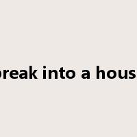 break into a house是什么意思