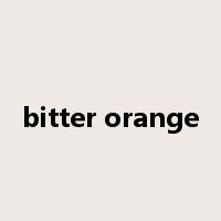 bitter orange是什么意思