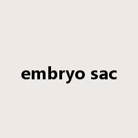 embryo sac是什么意思
