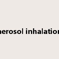 aerosol inhalation是什么意思
