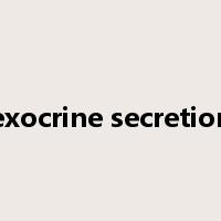 exocrine secretion是什么意思