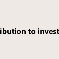 contribution to investment是什么意思