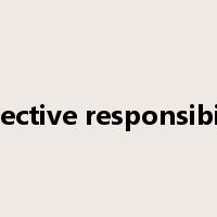 collective responsibility是什么意思