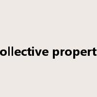 collective property是什么意思