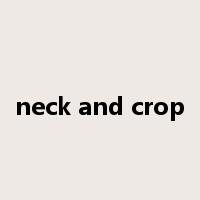 neck and crop是什么意思