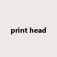 print head是什么意思