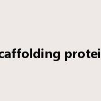 scaffolding protein是什么意思