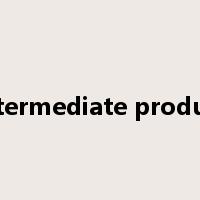 intermediate product是什么意思