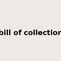 bill of collection是什么意思
