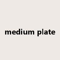 medium plate是什么意思