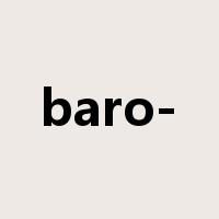 baro-是什么意思