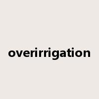 overirrigation是什么意思