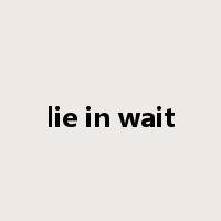 lie in wait是什么意思