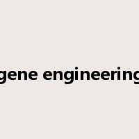 gene engineering是什么意思