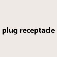 plug receptacle是什么意思