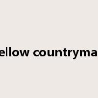 fellow countryman是什么意思