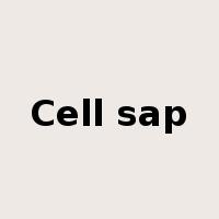 Cell sap是什么意思