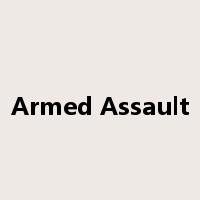 Armed Assault是什么意思