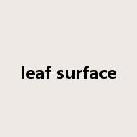 leaf surface是什么意思