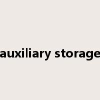 auxiliary storage是什么意思