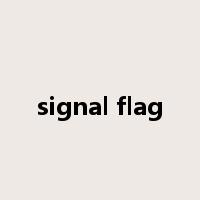 signal flag是什么意思