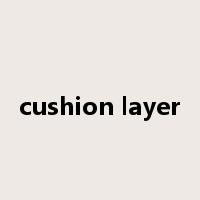 cushion layer是什么意思
