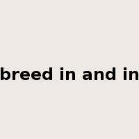 breed in and in是什么意思