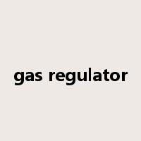 gas regulator是什么意思