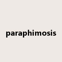 paraphimosis是什么意思