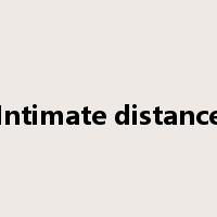 Intimate distance是什么意思