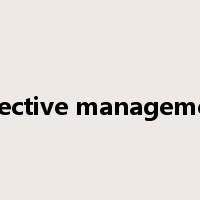 effective management是什么意思
