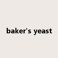 baker's yeast是什么意思