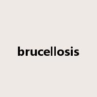 brucellosis是什么意思
