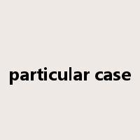 particular case是什么意思