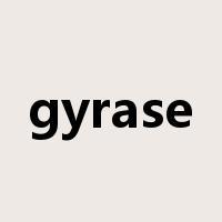gyrase是什么意思