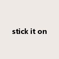stick it on是什么意思