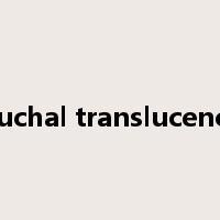 nuchal translucency是什么意思