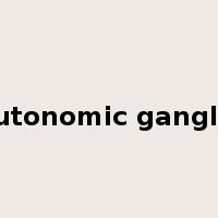 autonomic ganglia是什么意思